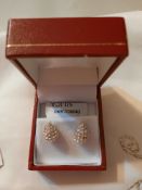 Richard Designs Teardrop Earrings