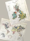Antique Palaeontological & Geological Map British Isles.