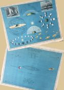 Antique Astronomical Print Celestial Sphere Moon Phases Solar System