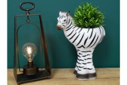 Large Zebra Planter