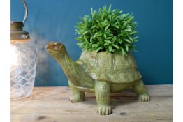 Tortoise Indoor or Outdoor Planter