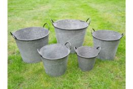 Set of 5 Bucket Planters
