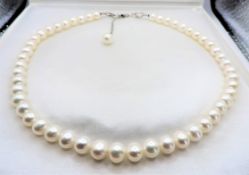 Single Strand Cultured Pearl Necklace Silver Clasp New With Gift Box