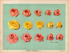 Piped Cake Flowers T. Percy Lewis & A.G Bromley Antique Chromolithograph Print.