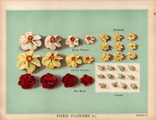 Piped Cake Rose T. Percy Lewis & A.G Bromley Antique Chromolithograph Print.