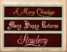 Lettering Cake Piping 2 T. Percy Lewis & A.G Bromley Antique Chromolithograph Print