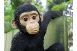 Fence Hanging Monkey Ornament