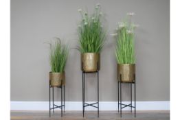 Set of 3 Decorative Golden Planters on Stands