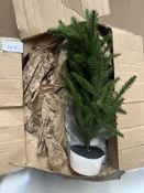 Artificial Plant. RRP £20 - GRADE U