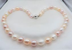Multicolour Cultured Pearl Necklace Silver Clasp New With Gift Box