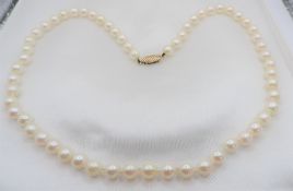 Akoya Cultured Pearl Necklace 18 inches 9k Gold Clasp
