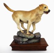 Albany Limited Edition Labrador