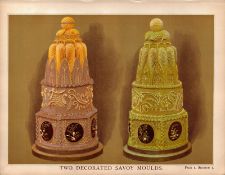 Decorated Savoy Moulds Victorian Antique Chromolithograph Print.