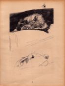 Cecil Aldin Original Vintage 88 Years Old Illustration How to Draw Dogs-13.