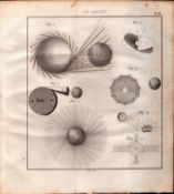 Light Momentum 3 Detailed Diagram 1799 Antique Copper Engraving.