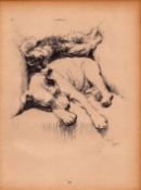 Cecil Aldin Original Vintage 88 Years Old Illustration How to Draw Dogs-2.