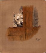Cecil Aldin Original Antique Illustration Mac a White West Highland Terrier-9.