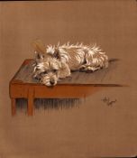 Cecil Aldin Original Antique Illustration Mac a White West Highland Terrier-8.