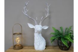 White Stag Head