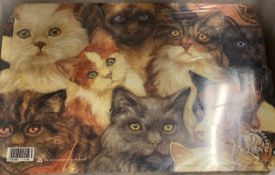 8 x Packs Of 12 x Catsworld A4 Wallets