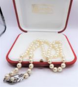 Majorica Pearl Necklace Silver Clasp in Original Presentation Case