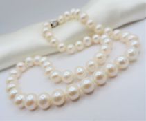 Cultured Pearl Necklace 18