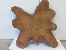 Hardwood Kiln Dried Sawn Burmese Teak Log Slice / Crosscut