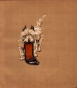 Cecil Aldin Original Antique Illustration Mac a White West Highland Terrier-13.