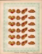 Petits Fours Cakes 2 T. Percy Lewis & A.G Bromley Antique Chromolithograph Print