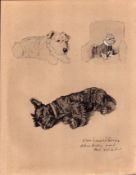 Cecil Aldin Dog Illustrations Wire Haired Terrier & West Highlander-21.