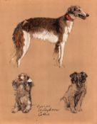 Cecil Aldin Vintage Dog Illustrations Borzoi Sealyham & Collie.