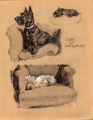 Cecil Aldin Vintage Dog Illustrations Scotch & West Highlander-5.