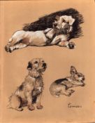 Cecil Aldin 1934 Vintage Dog Illustrations Selection of Terriers-20.