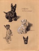 Cecil Aldin Vintage Dog Illustrations Scotch Terrier & White West Highlander-6.