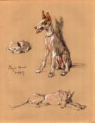 Cecil Aldin Vintage 1934 Dog Illustrations Ibiza Hound-9.