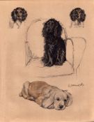 Cecil Aldin 1934 Vintage Dog Illustrations Selection of Spaniels-19.