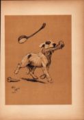 Cecil Aldin Antique Lovable Scamp Of a Terrier illustration A Dog Day -9.