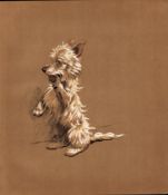 Cecil Aldin Original Antique Illustration Mac a White West Highland Terrier-20.