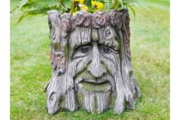 Tree Man Stump Planter