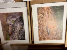 Art Prints Job Lot Including Limited Editions - Over 100,000 Prints
