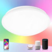 LED RGB Ceiling Light