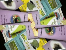 100 Asst Early Learning Reading Books
