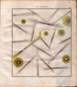 Light Momentum 1 Detailed Diagram 1799 Antique Copper Engraving.