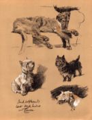 Cecil Aldin Dog Illustrations Irish Wolfhounds West Highlander & Cairn-12.