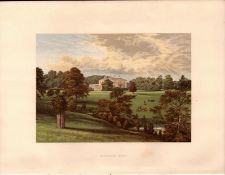 Ashcombe Park Staffordshire Gilt-Edge Coloured Antique Book Plate.