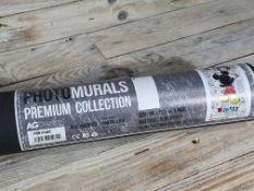Giant Walt Disney Mural Poster. 90cm x 202cm. Glue Included. RRP £40