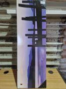 Large Painting. RRP £20. Grade U