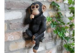 Playful Monkey Wall Mounted Ornament