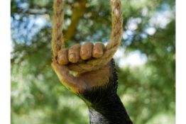 Hanging Monkey Ornament