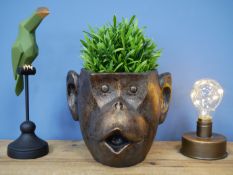 Large Monkey Head Planter